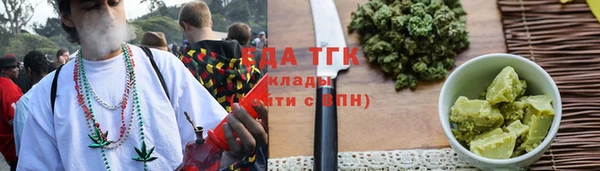 амф Протвино