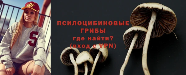 бошки Медвежьегорск