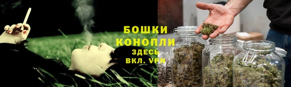 трава Медногорск