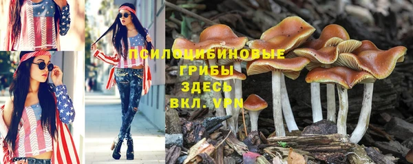 трава Медногорск