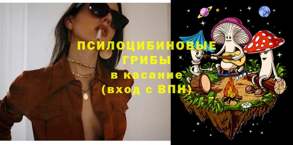 СК Мегион