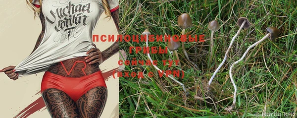 не бодяженный Новодвинск