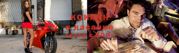 прущие грибы Новокубанск