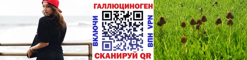 Галлюциногенные грибы ЛСД  OMG как войти  Островной 
